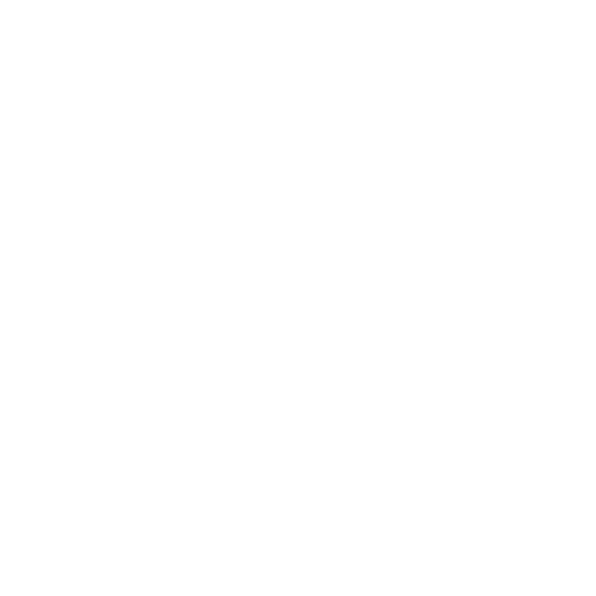 Volcam